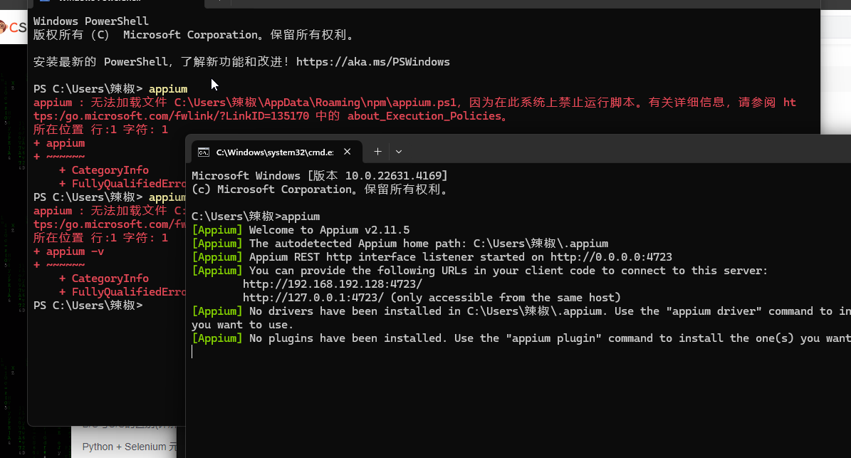 image-20241012104448558