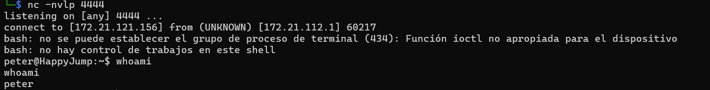 image-20250624221913152