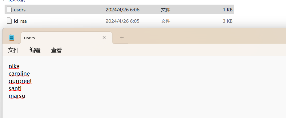 image-20250626212858087