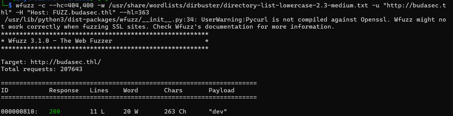 image-20250628144627831