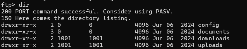 image-20250628153650523