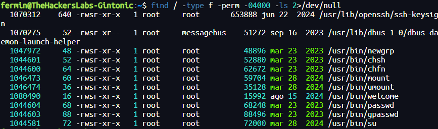 image-20250628175340642