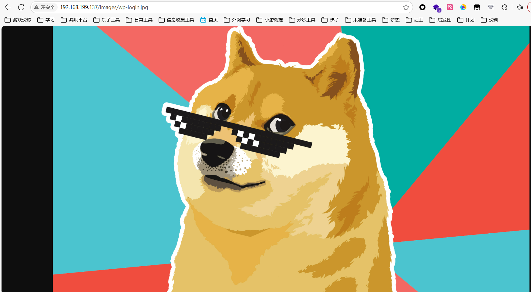 image-20250629121406474