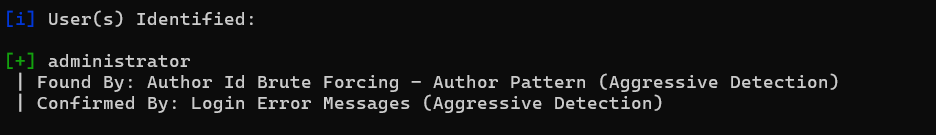 image-20250629133516899