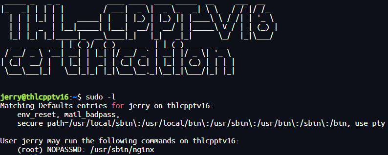 image-20250630221333360