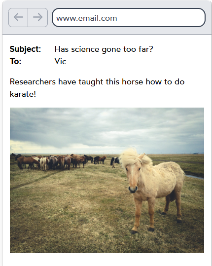 image-20250718110150198