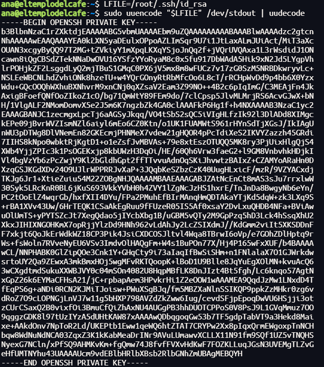 image-20250813121136666