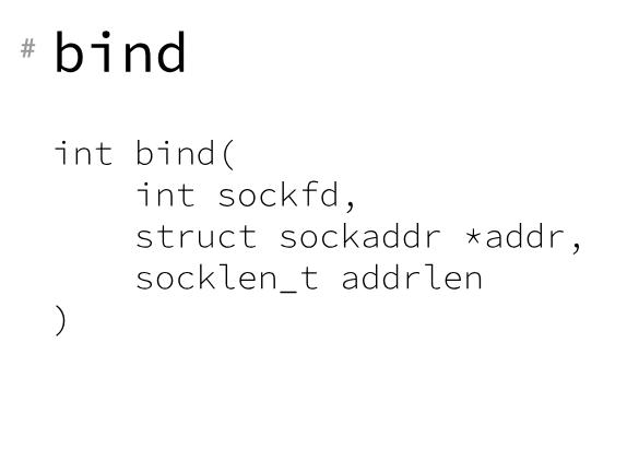 image-20251127092502721