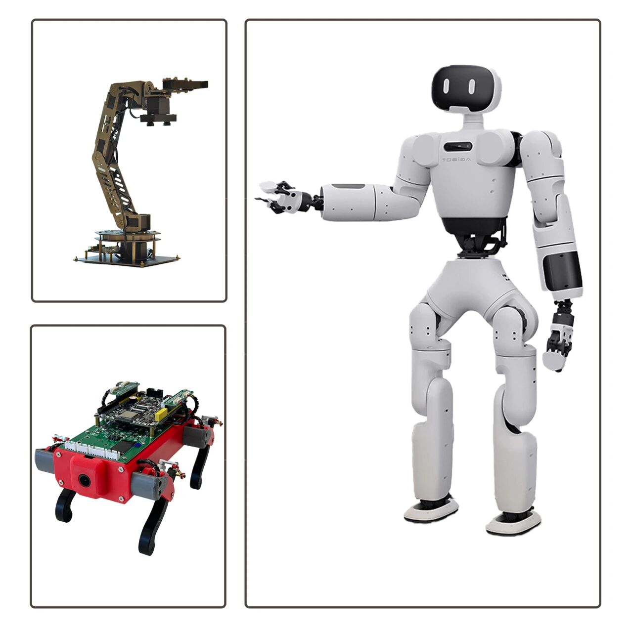 cff705bffe9b5514f6a5e1b9937e4049