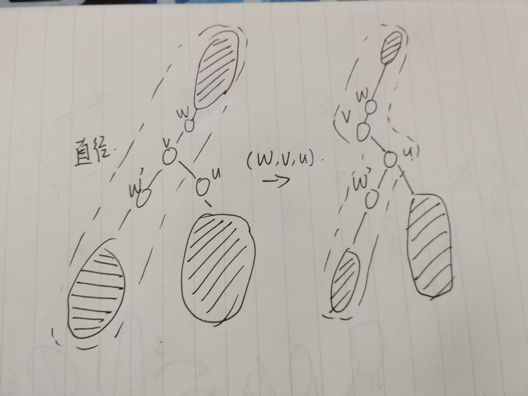 微信图片_20250827091742