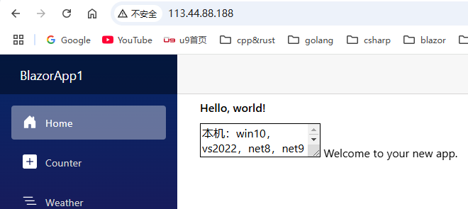 傻瓜教程 一步一步把blazor项目发布到linux（debian12，nginx反向代理设置，net8,net9适用）