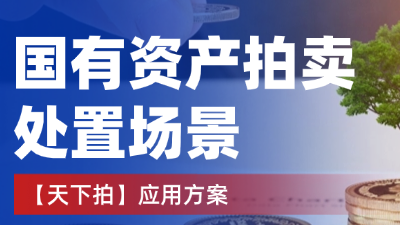 天下拍在国有资产拍卖处置场景下的应用