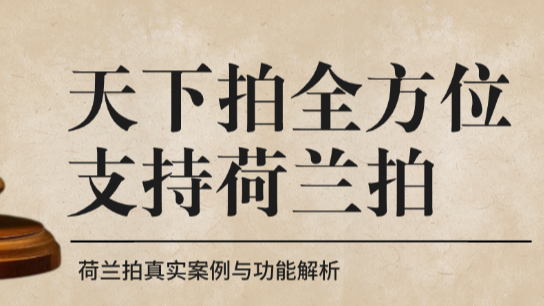 天下拍全方位支持荷兰拍