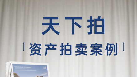 天下拍-资产拍卖经典案例分享