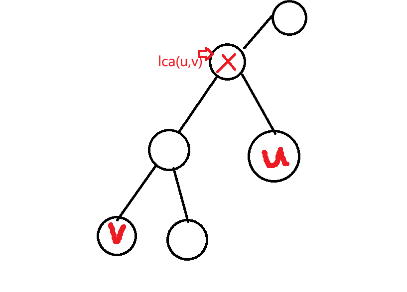 LCA 最近公共祖先