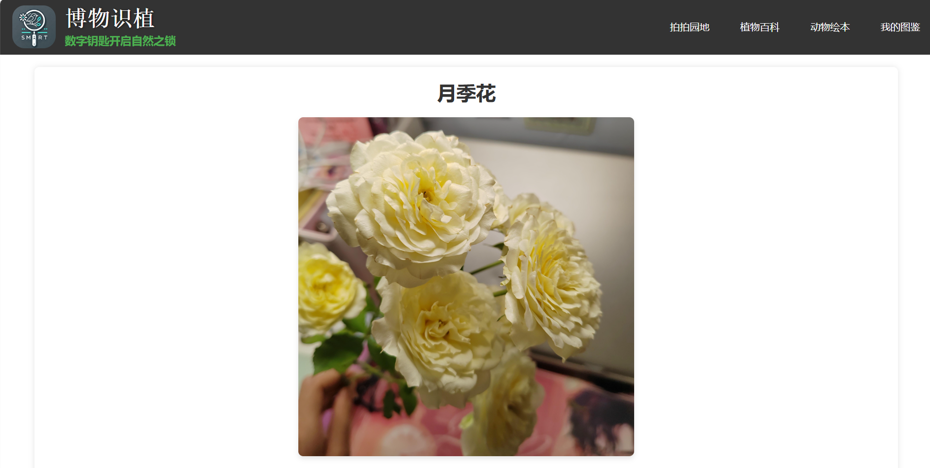 详情页展示1