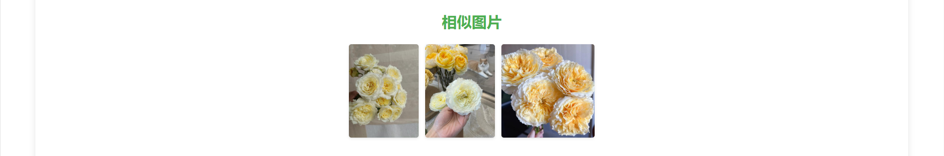 详情页展示2