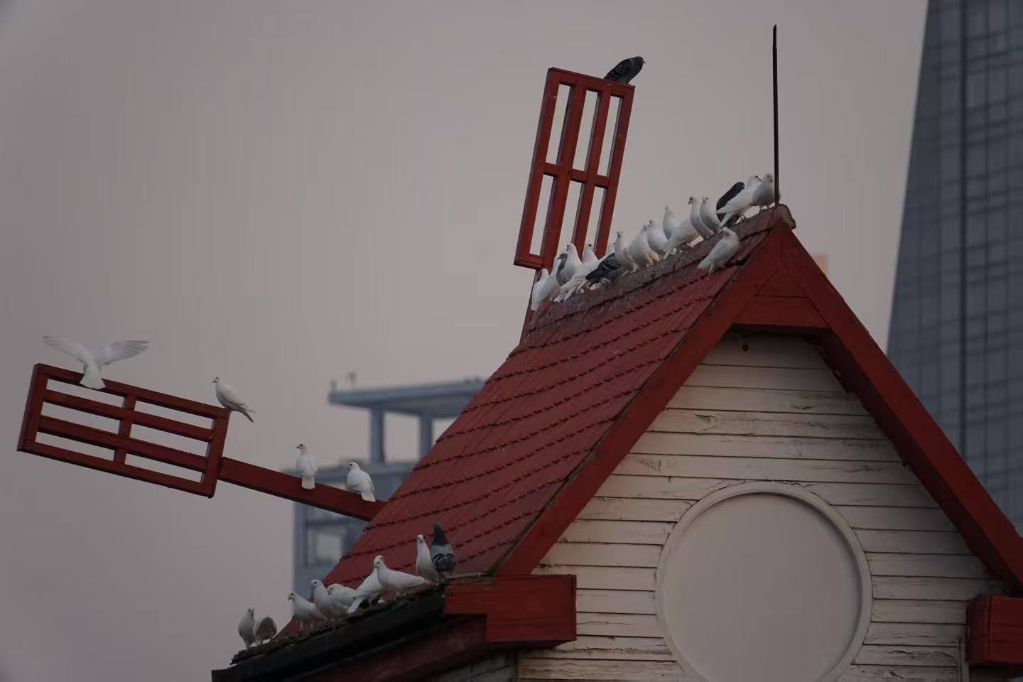 004e974a2a9921375ad926b04893a452