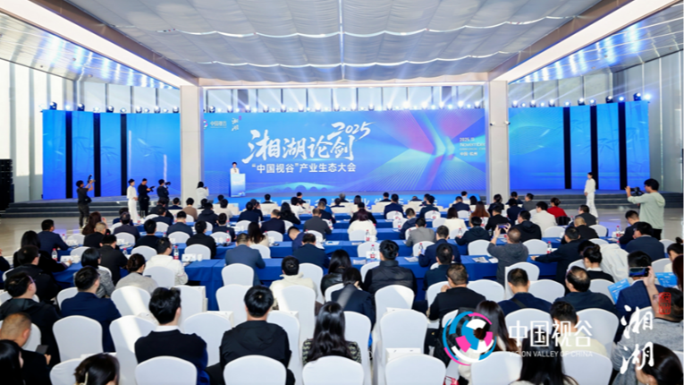 《浙商》杂志｜协作方能共赢，湘湖论剑网易专场对接会描绘AI人机共生新蓝图