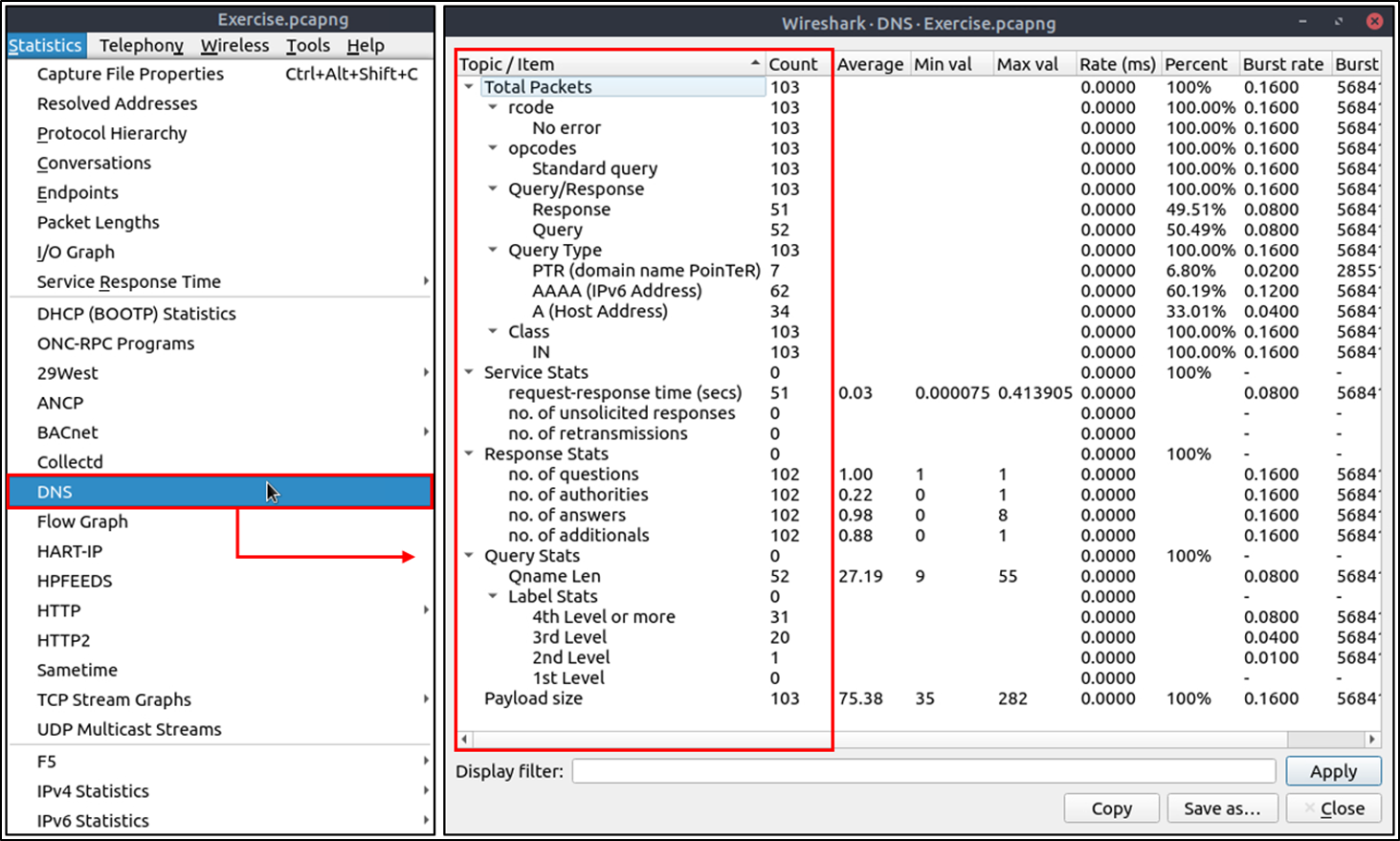 Wireshark - dns statistics