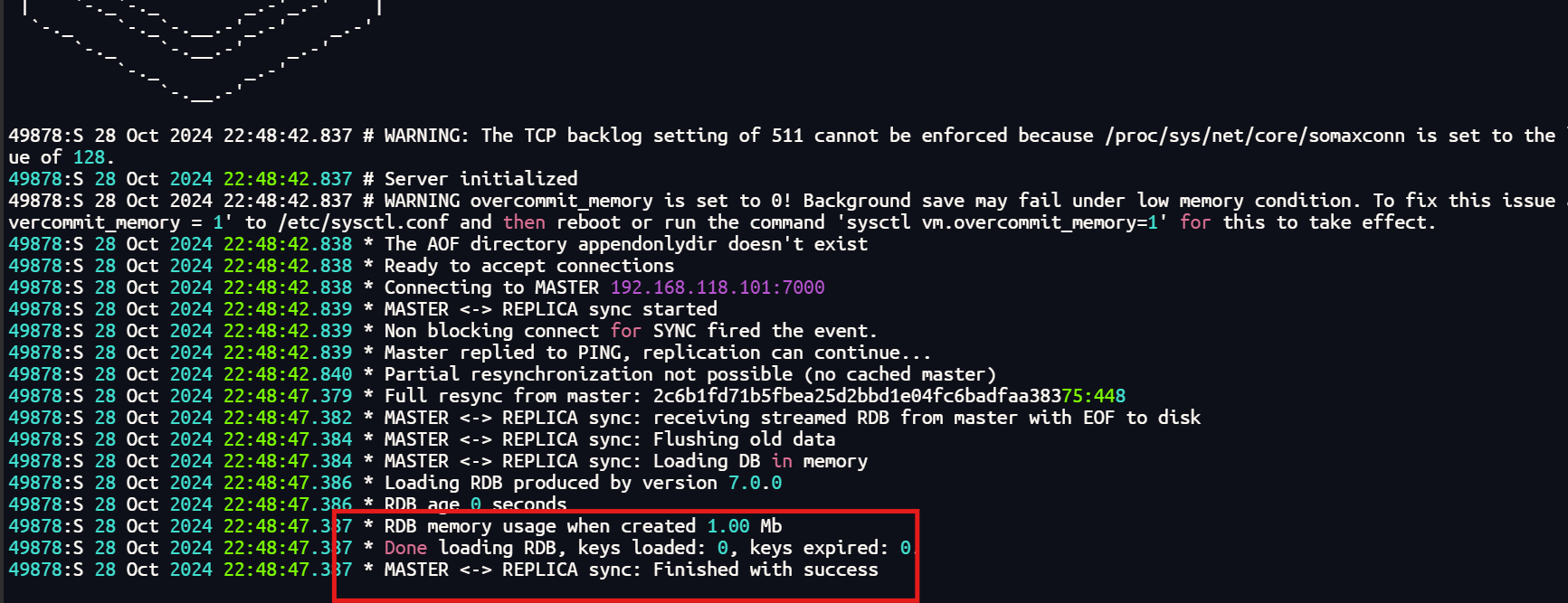 image-20241028224914125