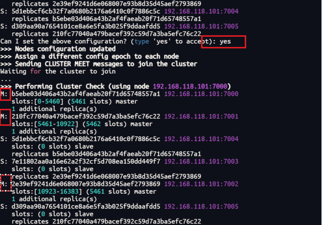 image-20241029211333804