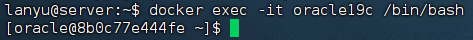 DockerOracle19c安装-25103116-04