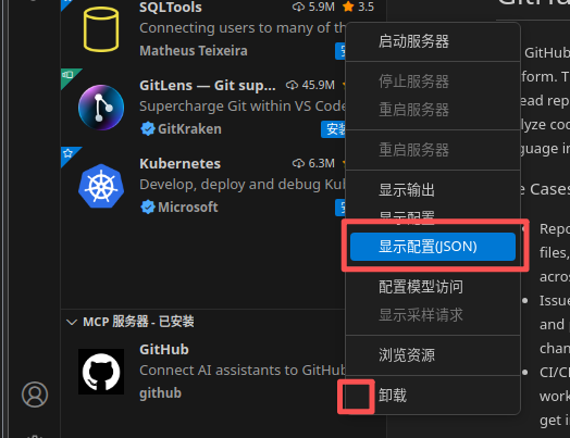 assets/vscode中github copilot安装ida-pro-mcp教程/file-20251212134436123.png