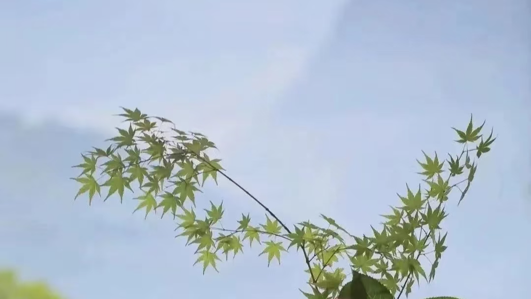 使用windows自带的远程桌面连接具体步骤——P2link图文篇