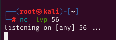 image-20250523122121679