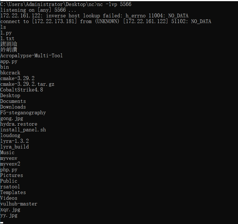 image-20250523114254619