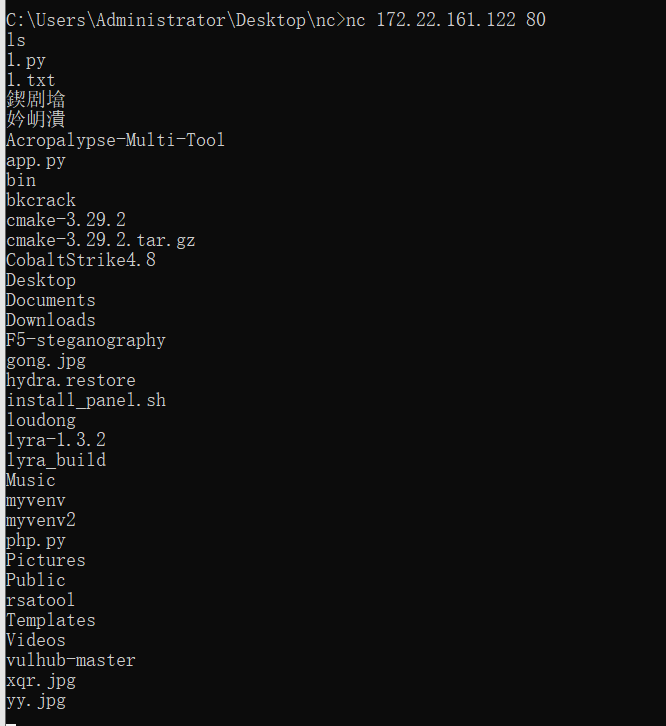 image-20250523121956011