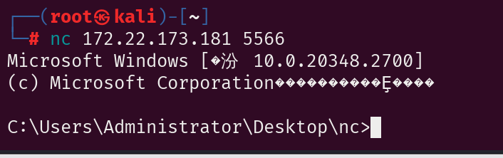 image-20250522113738395