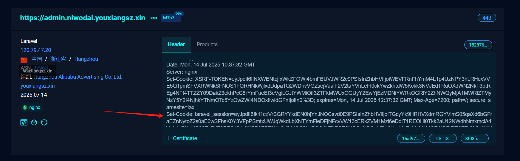 image-20250714185716907