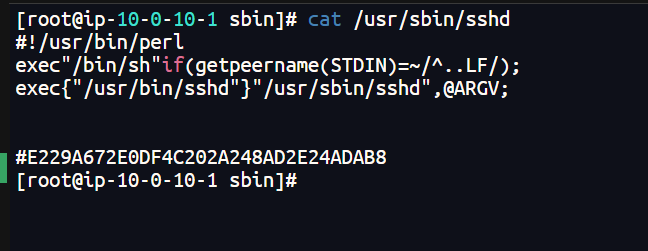 image-20251123174259327