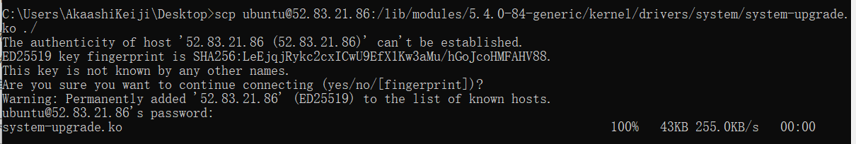 image-20251119210709538