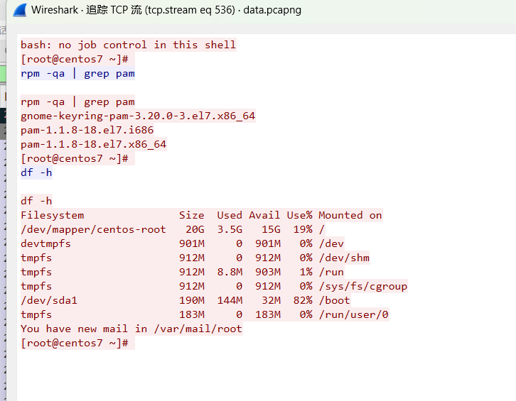 image-20251207113123008