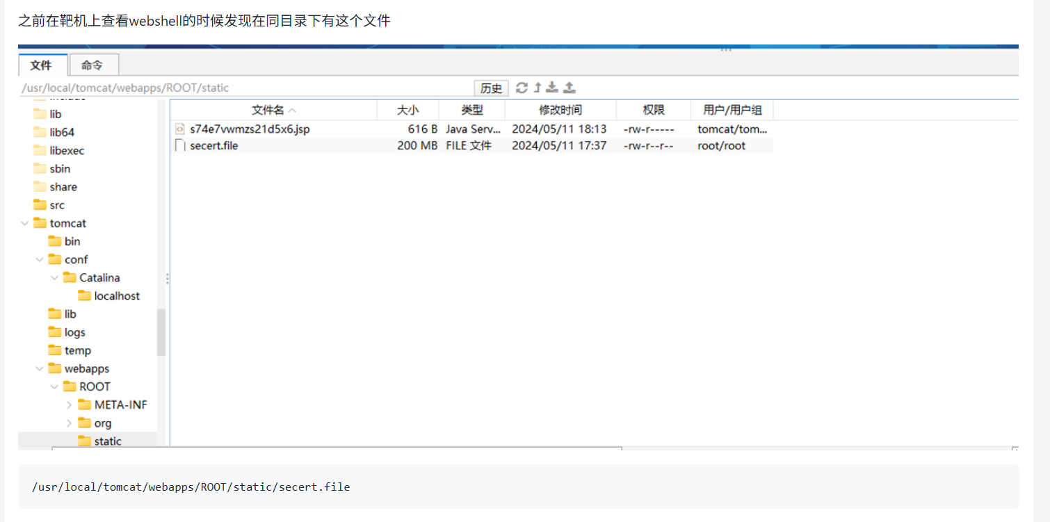 image-20251207110811870