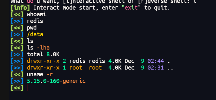 image-20251209104652790