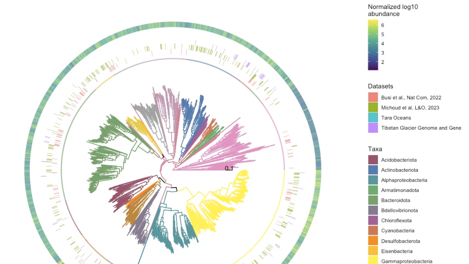 科研绘图系列：R语言绘制微生物物种系统发育树（phylogenetic tree）