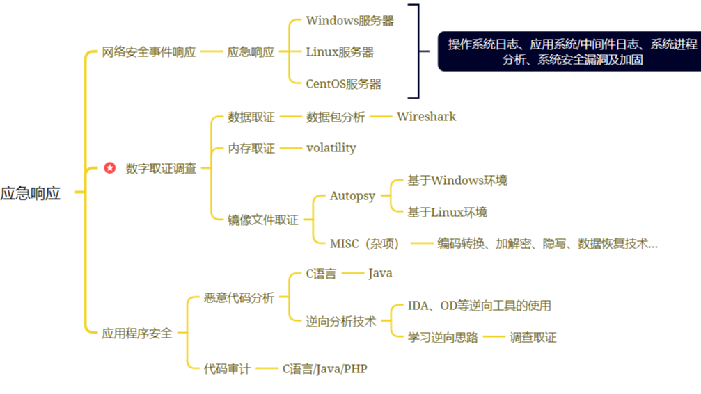 渗透测试速成