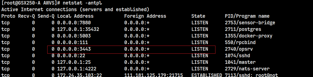 image-20241218140717347